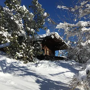  Ferienhaus Blockhütte / Ferienhütte Deutschland